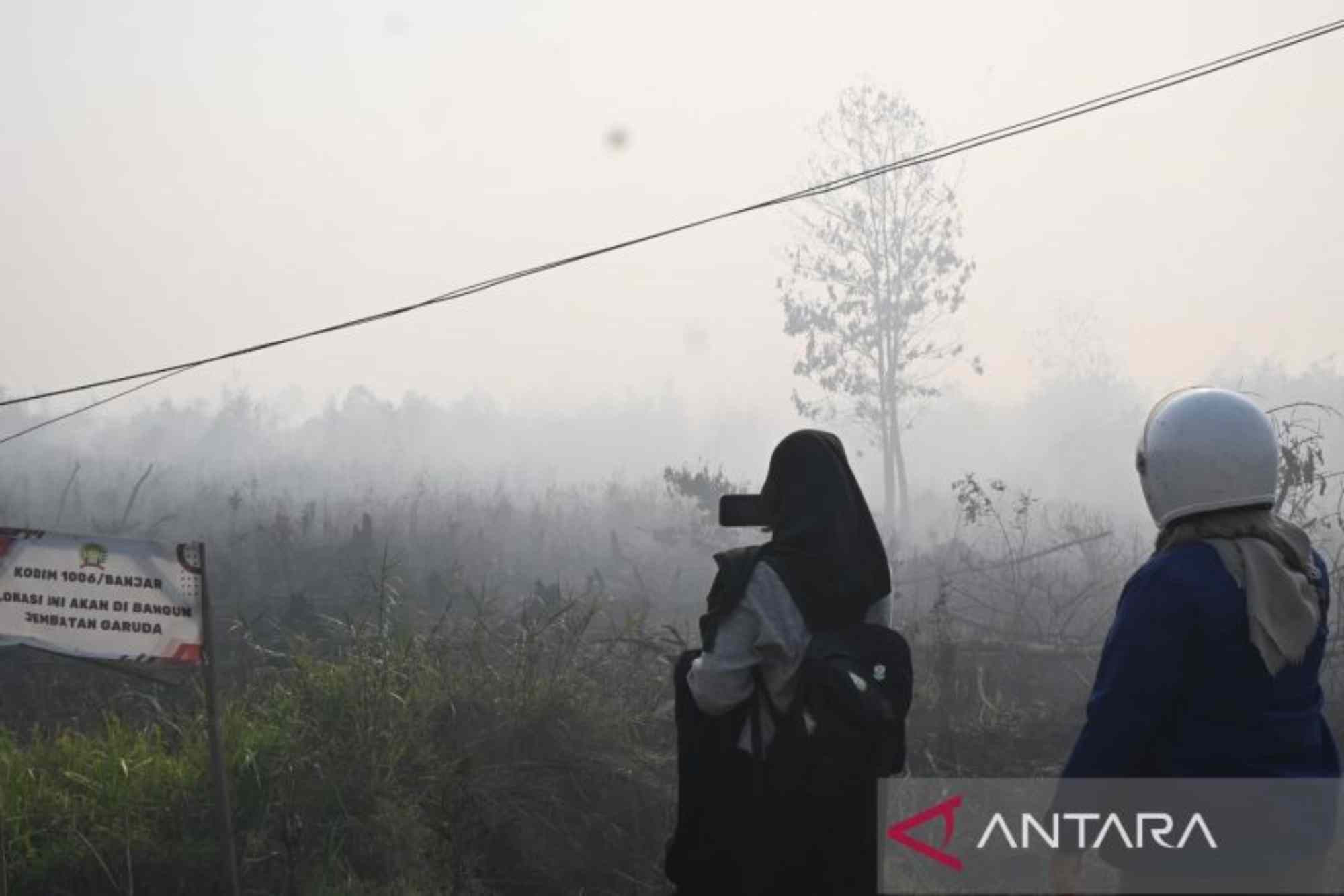 2.496 Hektare Lahan di Papua Barat Terbakar, BNPB Lakukan Penanganan