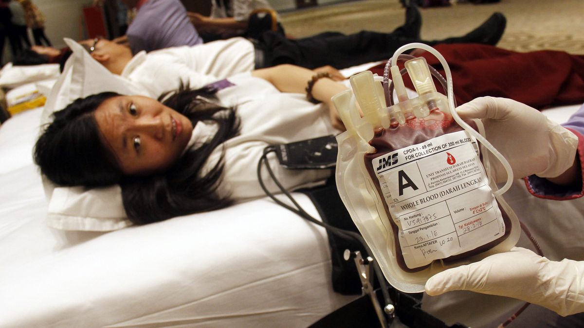 Manfaat Donor Darah bagi Kesehatan dan Kemanusiaan