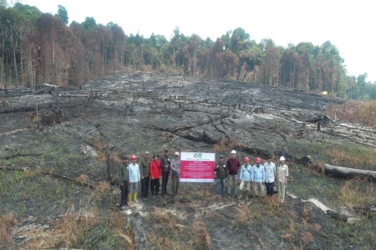 Enam Perusahaan Dikenakan Sanksi Terkait Karhutla di Kalimantan