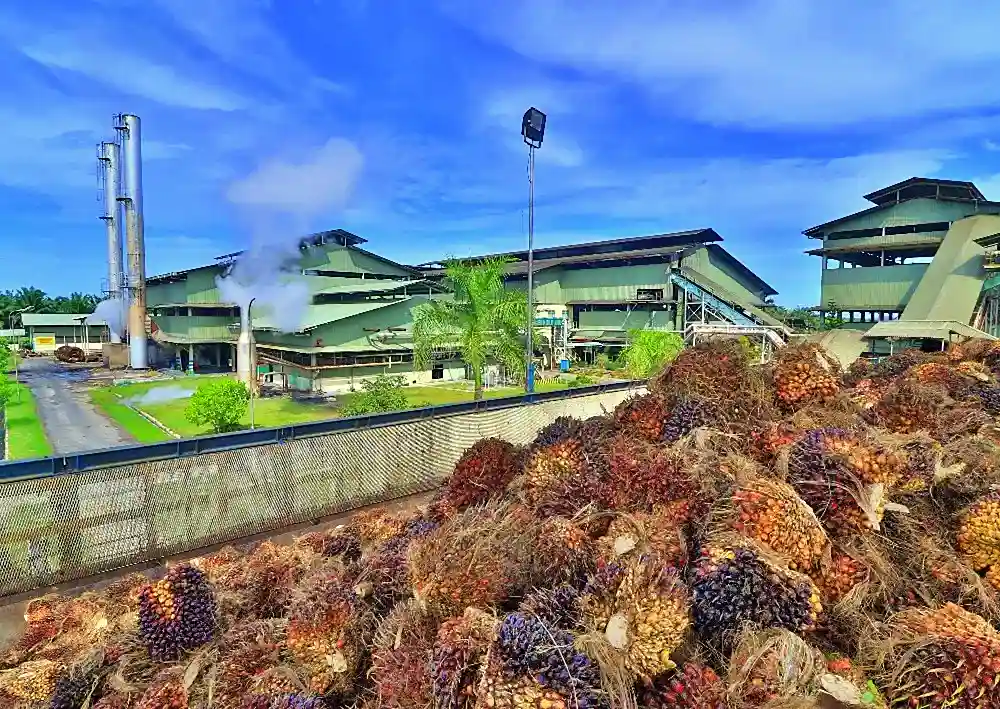 AALI Gelar RUPST, Bahas Alokasi Laba Bersih dan Perubahan dalam Susunan Direksi