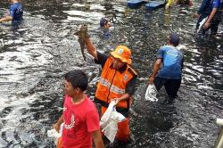Mengapa MUI Menolak Penguburan Ikan Sapu-Sapu Hidup-Hidup