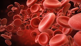 Efek Hb Rendah pada Tubuh: Apa yang Terjadi dan Bagaimana Mengatasinya