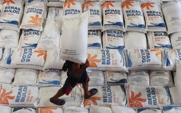 Stok Beras Pemerintah Mencapai 5,2 Juta Ton, Pangan Nasional Aman