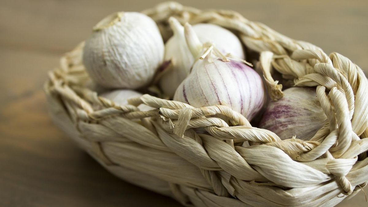 Bawang Putih dan Jerawat: Apakah Bisa Menghilangkan Jerawat?