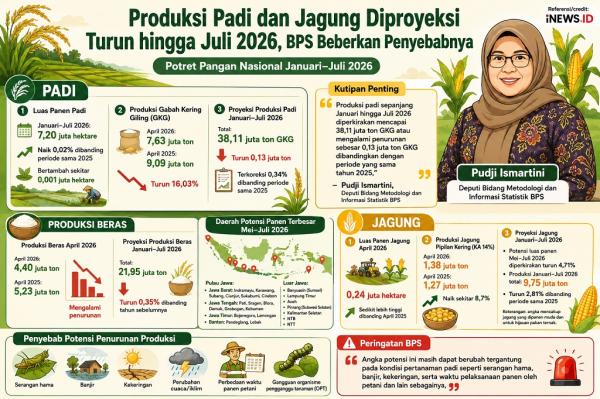 Potensi Penurunan Produksi Padi dan Jagung di Indonesia hingga Juli 2026