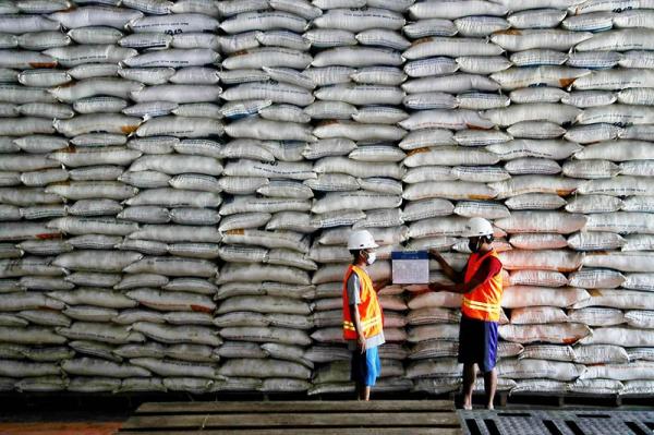 Bulog Capai Target Serapan Beras 75 Persen pada Juni 2026