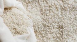 Persediaan Beras Nasional Diperkuat, Bulog Siapkan 828.000 Ton untuk Distribusi Sepanjang Tahun