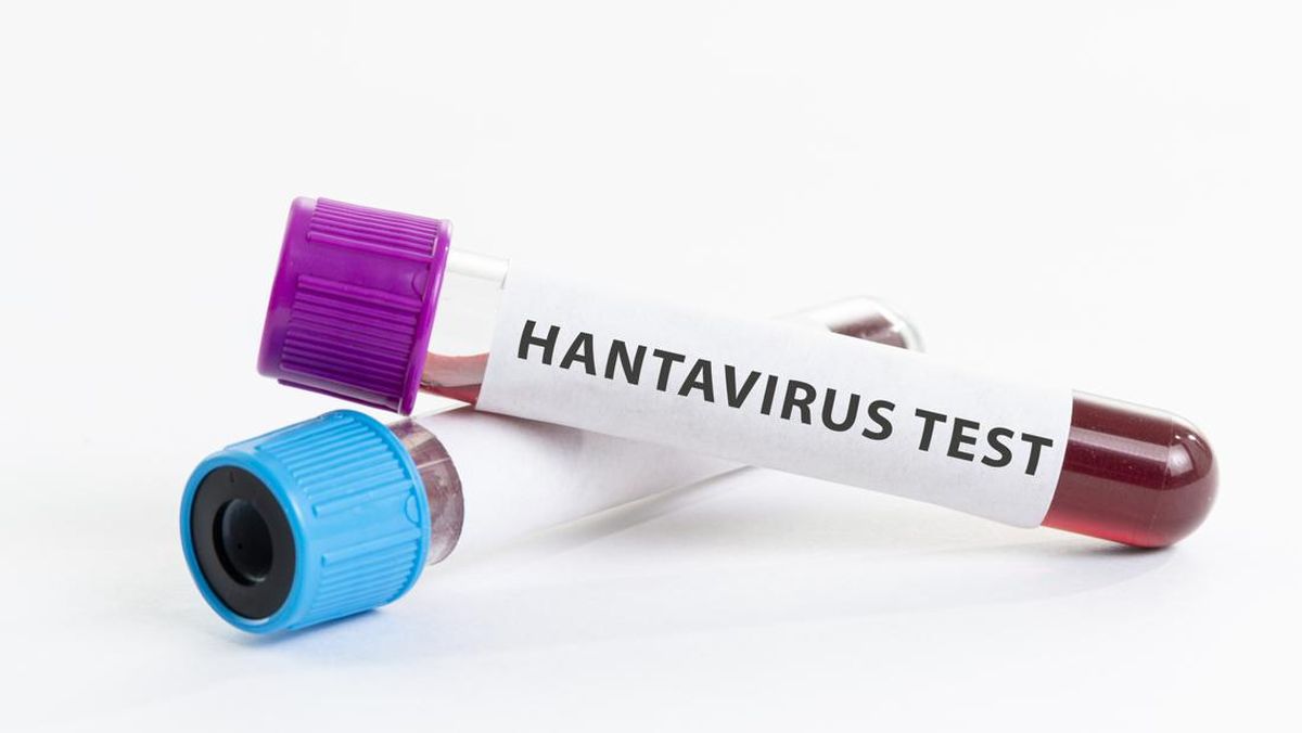 Penularan Hantavirus: Apa yang Perlu Diketahui?