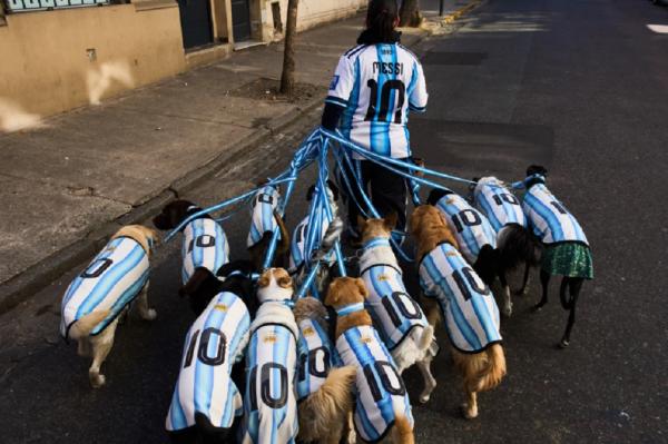 Anjing-Anjing Mengenakan Jersey Timnas Argentina Mencuri Perhatian di Buenos Aires