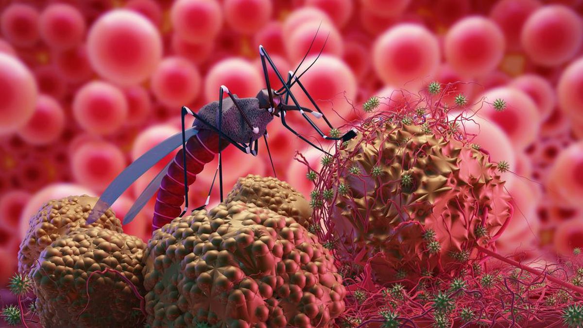 Dengue: Ancaman yang Membutuhkan Pendekatan Komprehensif