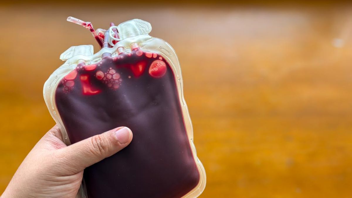 Jarak Donor Darah yang Dianjurkan