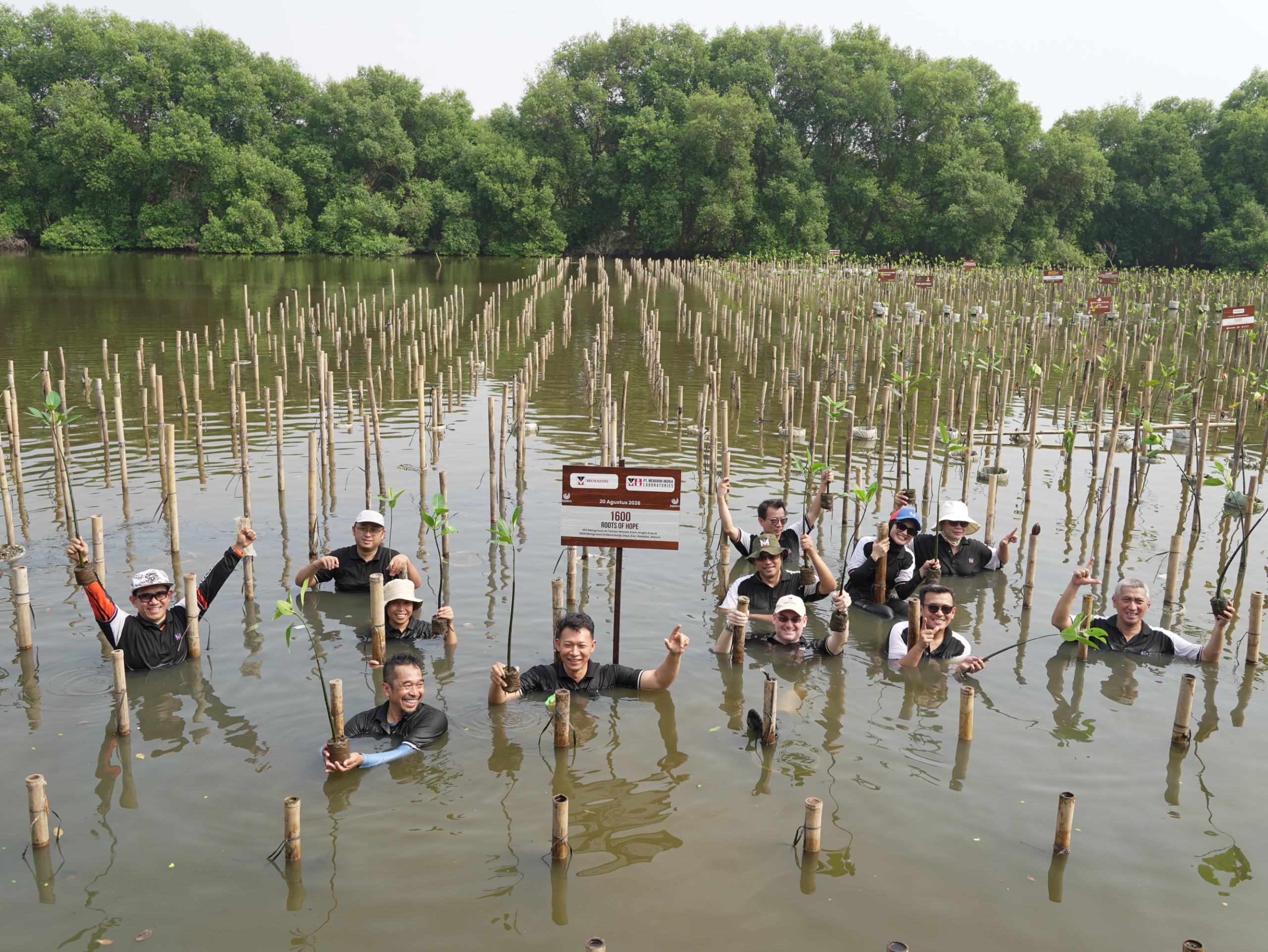 Menarini Indonesia Tanam 1.600 Pohon Mangrove untuk Dukung ESG di Jabar dan Jakarta Utara
