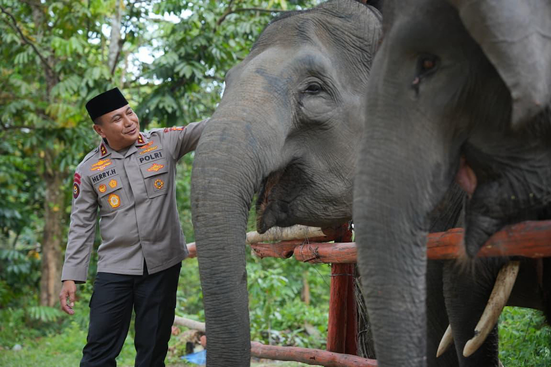 Polda Riau Dukung Inpres Prabowo dalam Penyelamatan Gajah
