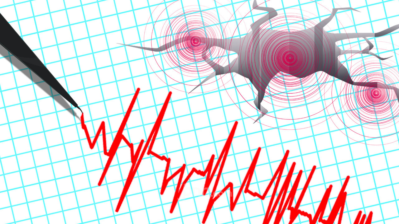 Gempa Magnitudo 7,7 Guncang Flores, BMKG Keluarkan Peringatan Tsunami dan Rekomendasi Evakuasi