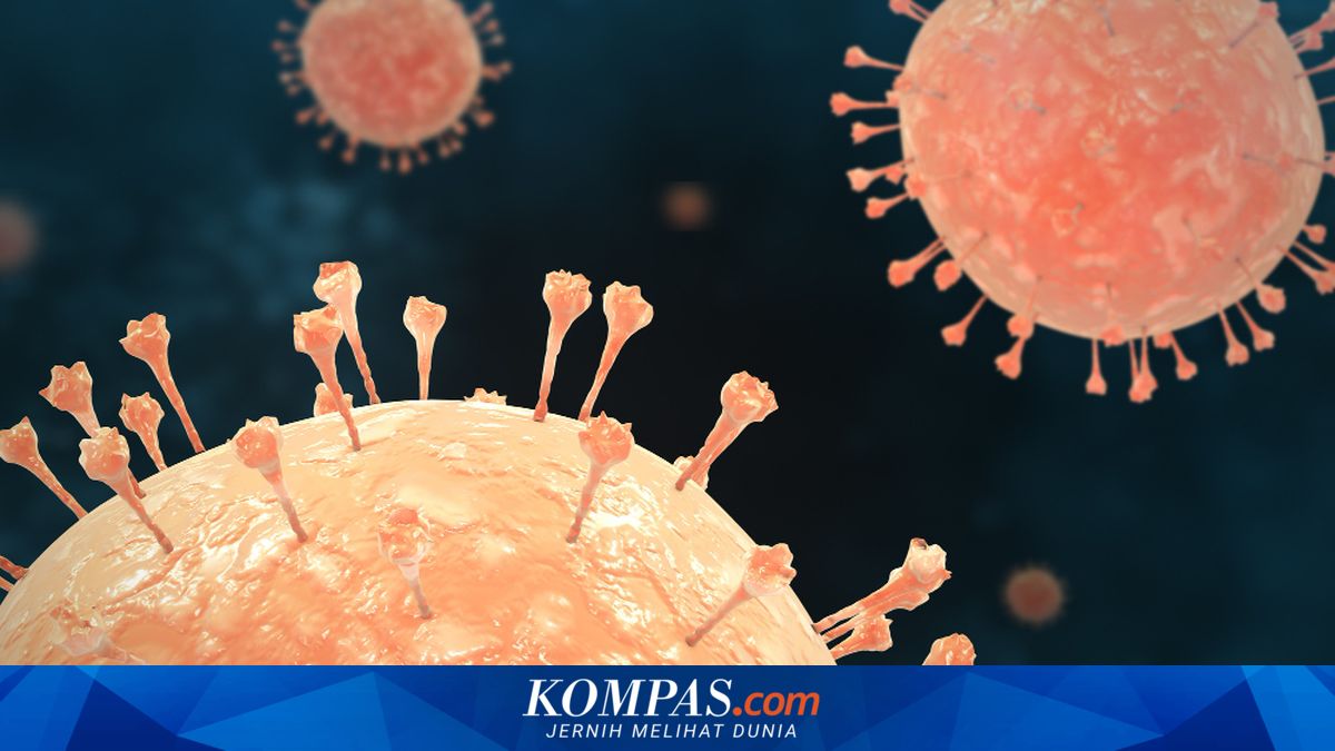 Hantavirus Menyebar: Gejala, Penularan, dan Pencegahan
