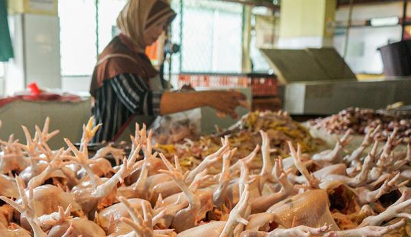 Kenaikan Harga Pangan Nasional: Cabai Merah dan Daging Ayam Mengalami Peningkatan