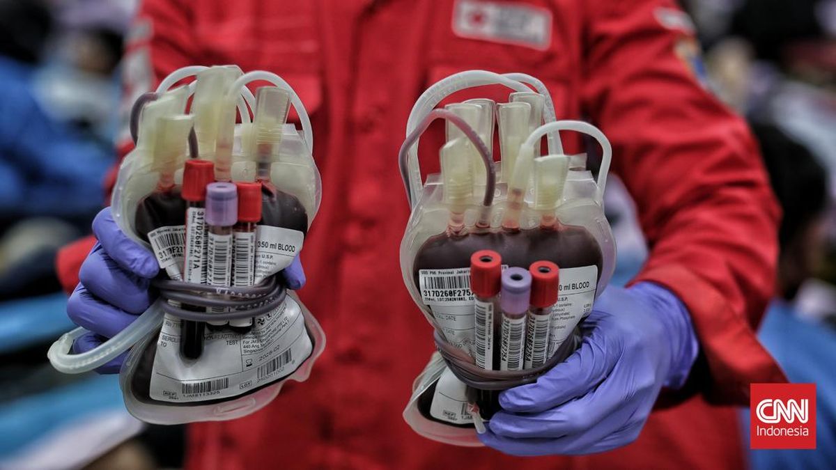Syarat dan Manfaat Donor Darah