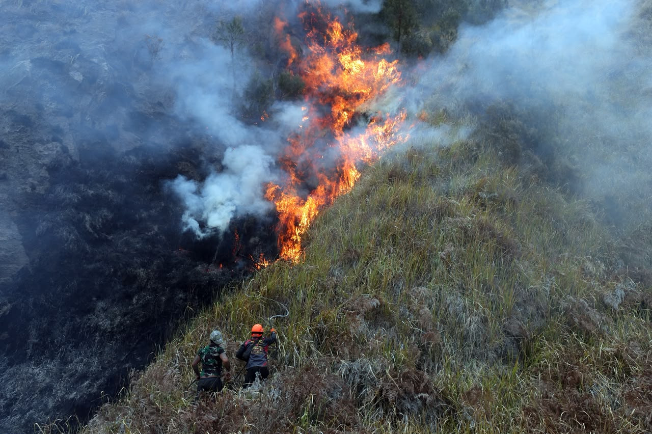 Kebakaran Hutan di Taman Nasional Bromo Tengger Semeru Luasnya Mencapai 921,42 Hektare