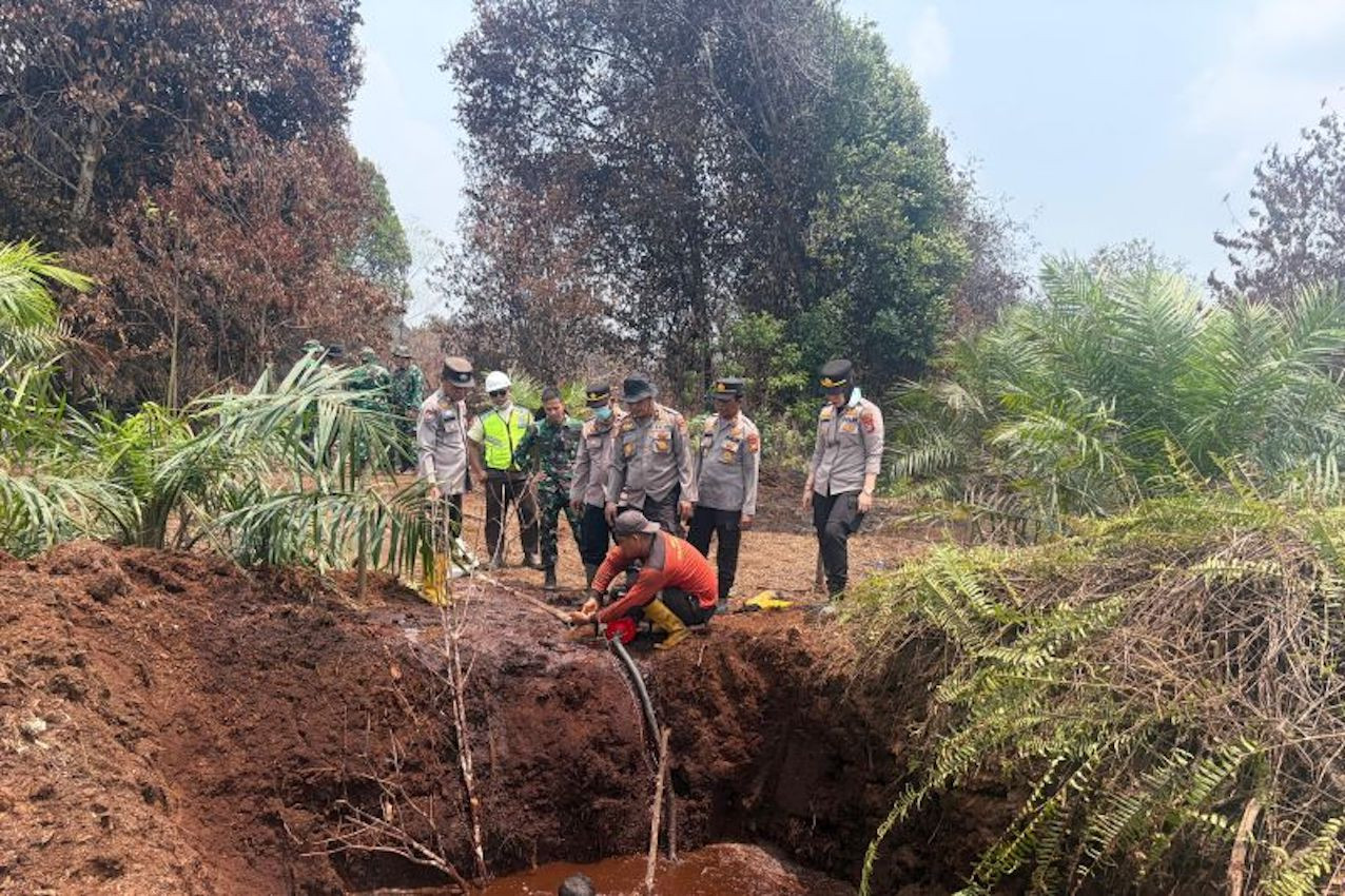 Tim Gabungan Sukses Padamkan 30 Hektare Karhutla di Taman Nasional Zamrud Siak dalam 7 Hari