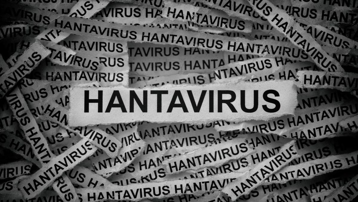 Hantavirus di Indonesia: Mengenal HFRS dan Gejalanya