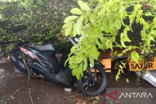 Tragedi Mematikan: Nazmudin Meninggal Dunia Akibat Tertimpa Pohon Tumbang