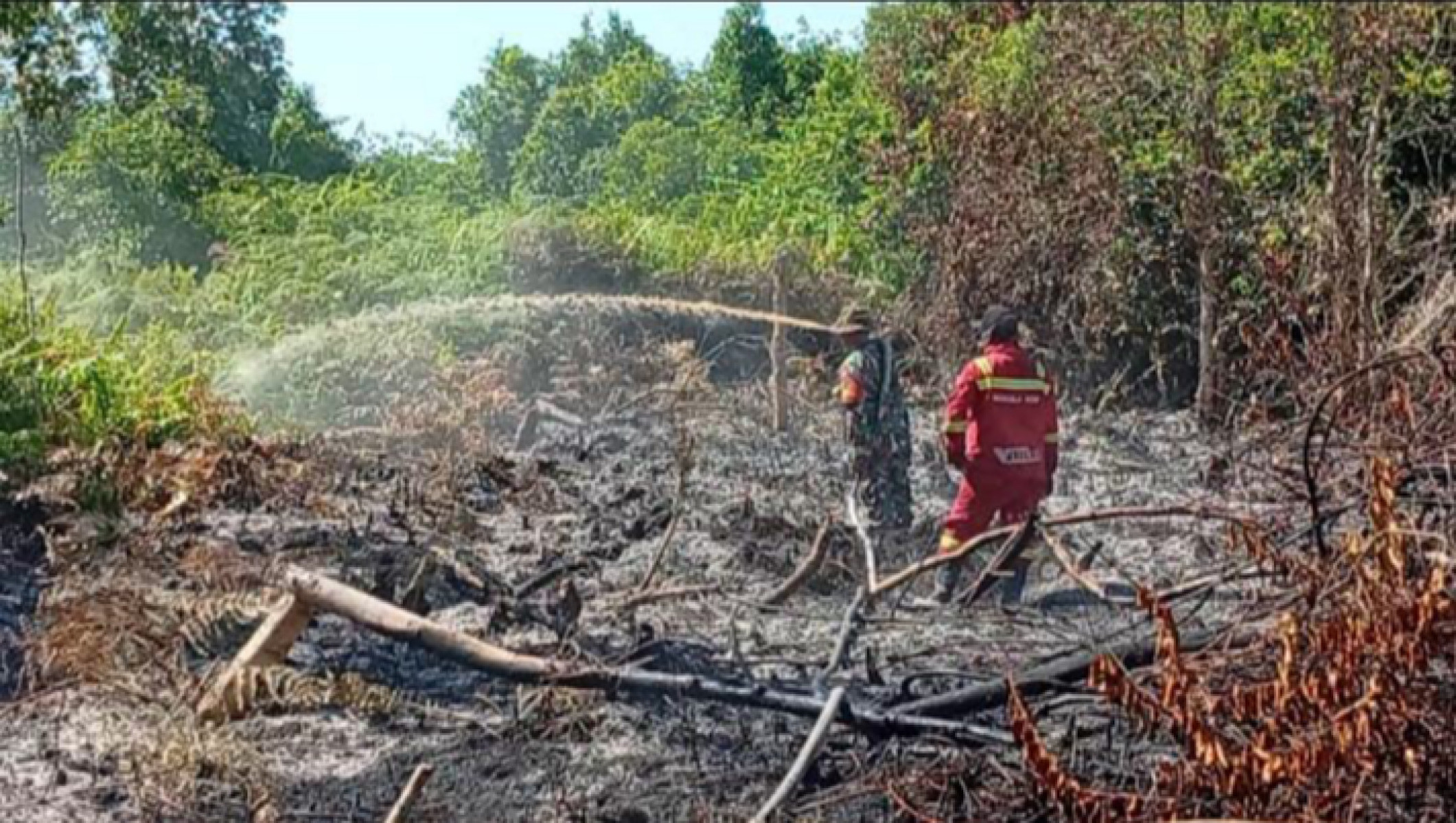 Pakar Sarankan Pendekatan Sains untuk Cegah Kebakaran Gambut