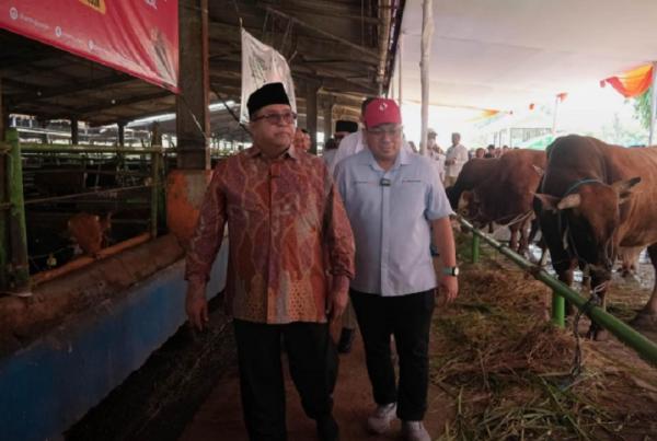 Pemprov DKI Jakarta Salurkan Hewan Kurban Iduladha 2026