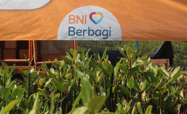 BNI Dukung Pelestarian Lingkungan dan Ekonomi Pesisir dalam Peringatan Hari Mangrove Sedunia