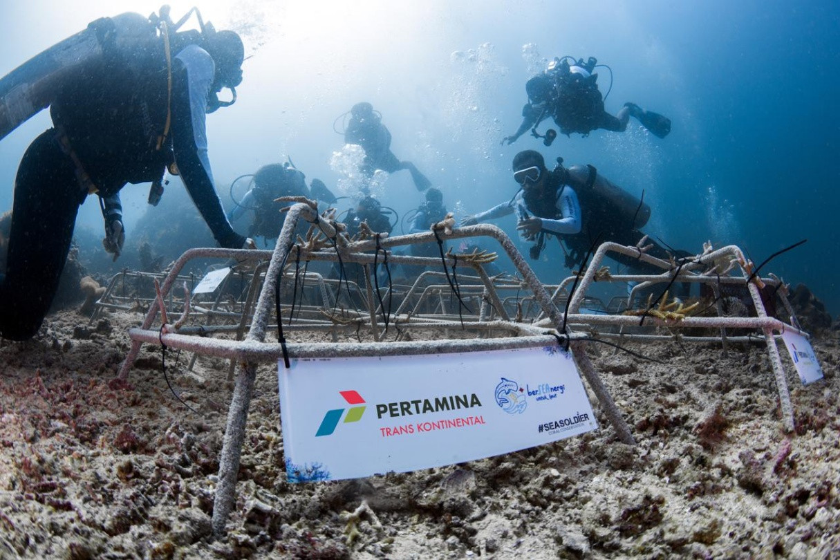 Pertamina Trans Kontinental Tanam Ratusan Terumbu Karang di Sulawesi Utara