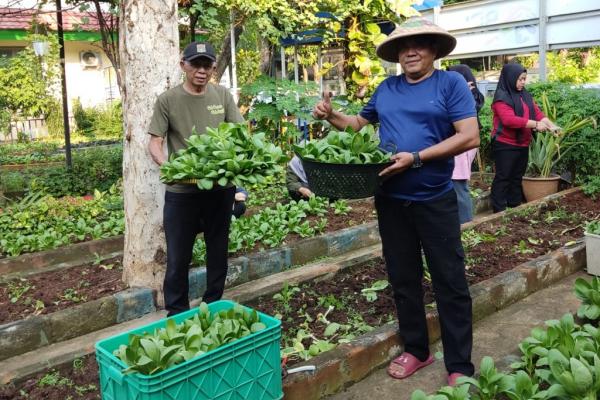 Transformasi Lahan Terpenuhi Sayuran di Taman Urban Farming Dahlia, BRI Berikan Dukungan kepada Warga