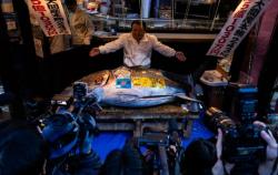Ikan Tuna Termahal di Dunia Terjual dalam Lelang