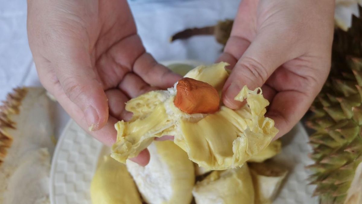 Durian dan Kolesterol: Mitos atau Fakta?