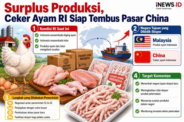 Ekspor Ceker Ayam ke China, Pemerintah RI Membuka Peluang Baru