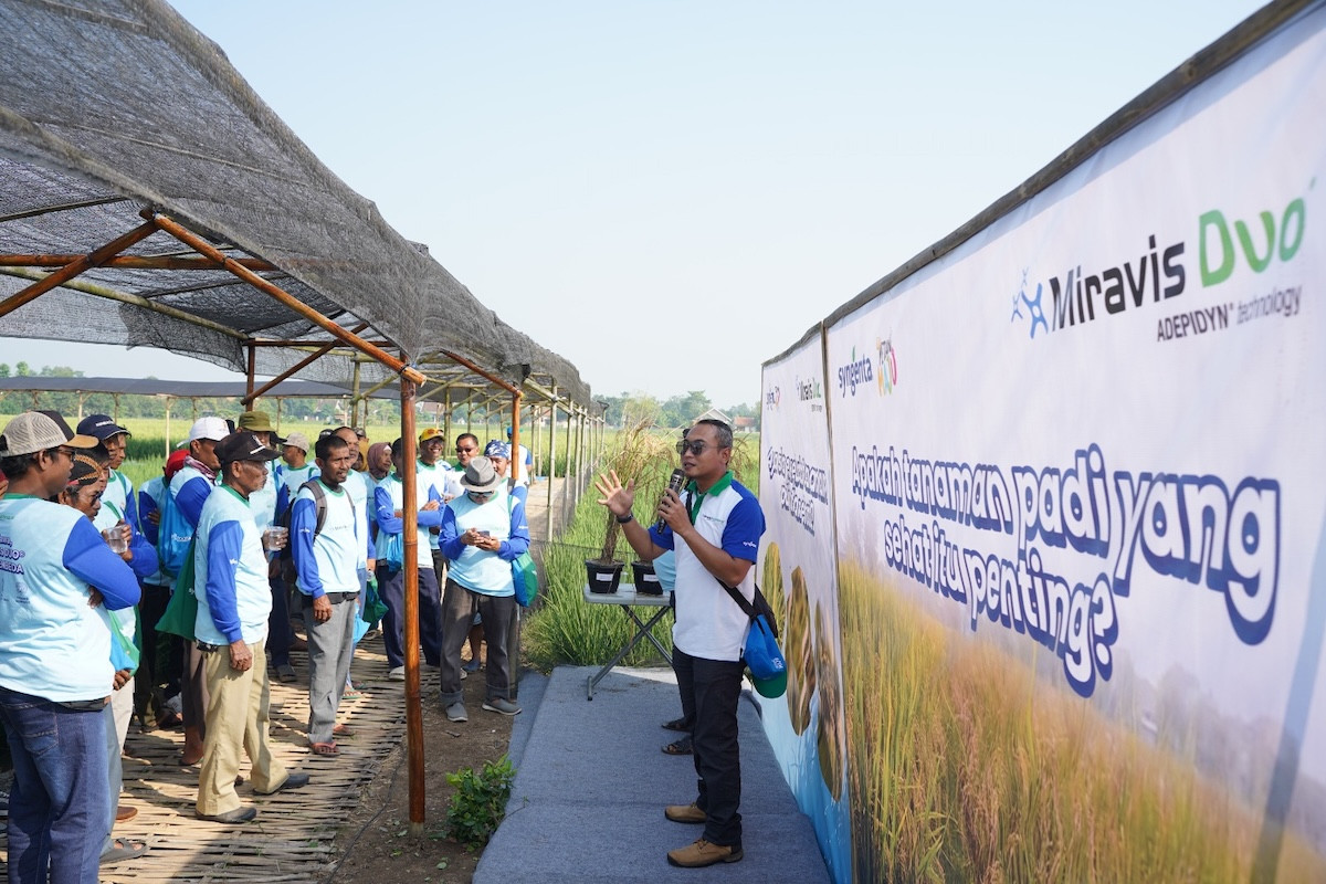 Syngenta Memperkuat Karawang Sebagai Pusat Produksi Padi Nasional Melalui Peluncuran MIRAVIS Duo