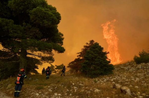 Penangkapan Wali Kota Yunani Terkait Kebakaran Hutan