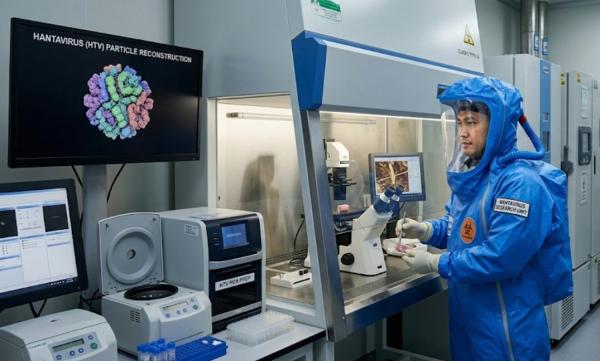 Hantavirus di Indonesia: Fakta dan Penjelasan dari Pakar
