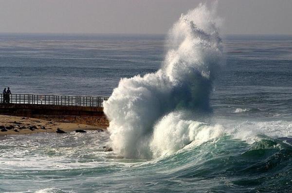 Bencana Alam Melanda Sulawesi Utara: Tsunami Menghantam 9 Wilayah Setelah Gempa Besar