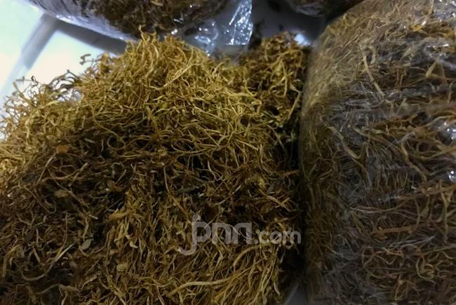 Bea Cukai Lakukan Monitoring Harga Hasil Tembakau dan Edukasi Pedagang di Lima Daerah