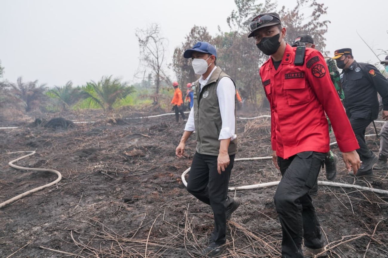 Gakkum Kemenhut Tangani 42 Kasus Karhutla, Menurut Raja Juli Antoni