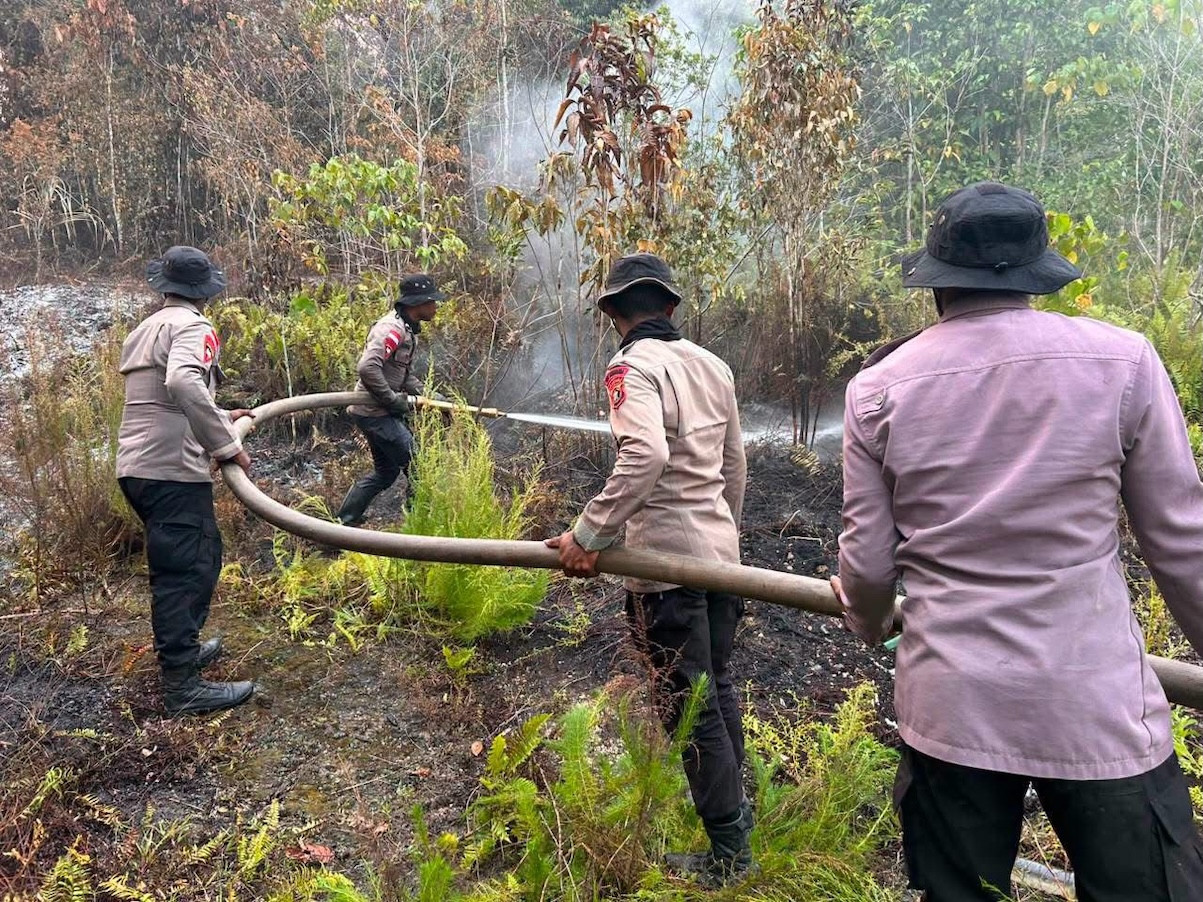 Kekhawatiran Warga Biak Numfor Terhadap Titik Api Baru Karhutla